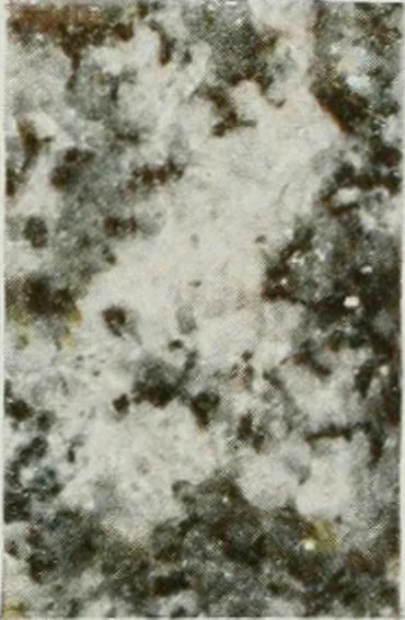 An illustration from ... Report on the building and ornamental stones of Canada, vol. I-V, 1912, leaf 326
