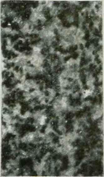 An illustration from ... Report on the building and ornamental stones of Canada, vol. I-V, 1912, leaf 326