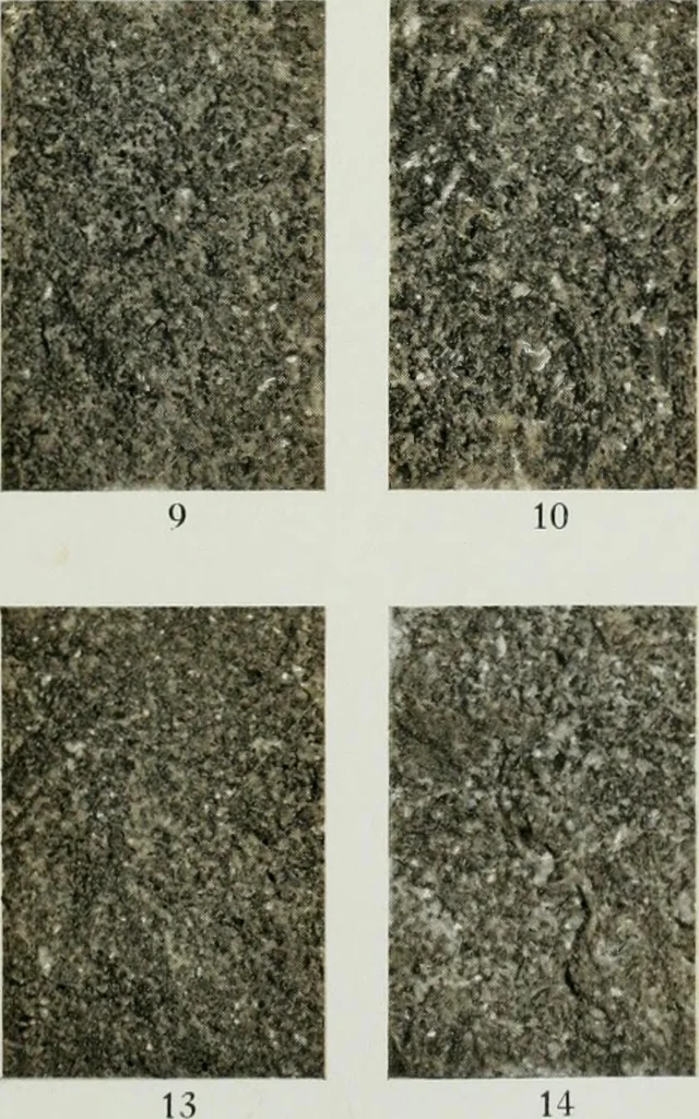 An illustration from ... Report on the building and ornamental stones of Canada, vol. I-V, 1912, leaf 396