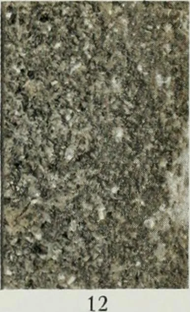 An illustration from ... Report on the building and ornamental stones of Canada, vol. I-V, 1912, leaf 396
