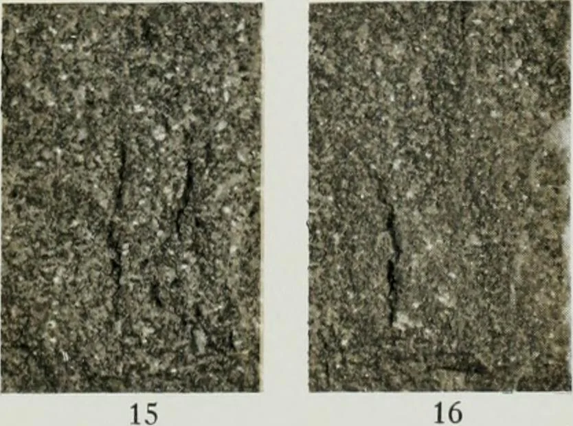 An illustration from ... Report on the building and ornamental stones of Canada, vol. I-V, 1912, leaf 396