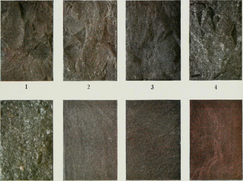An illustration from ... Report on the building and ornamental stones of Canada, vol. I-V, 1912, leaf 400