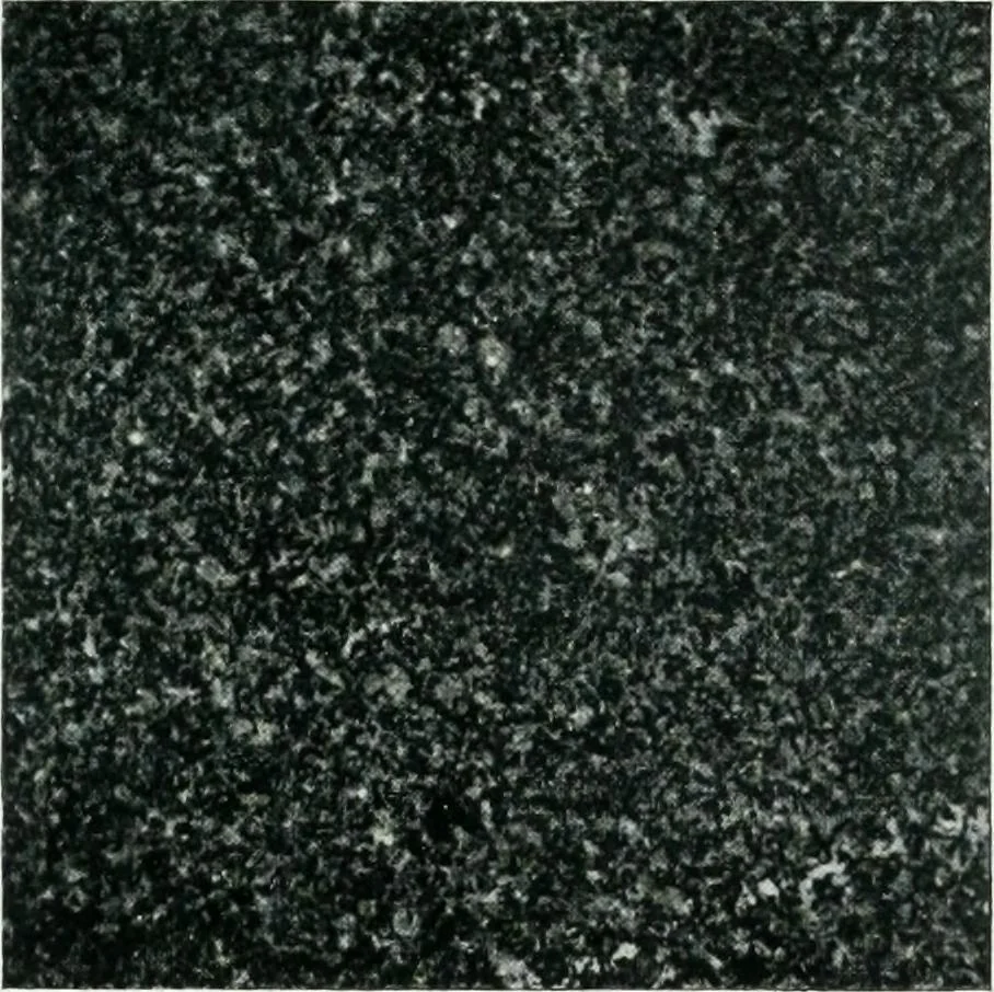 An illustration from Report on the building and ornamental stones of Canada, 1912, leaf 194
