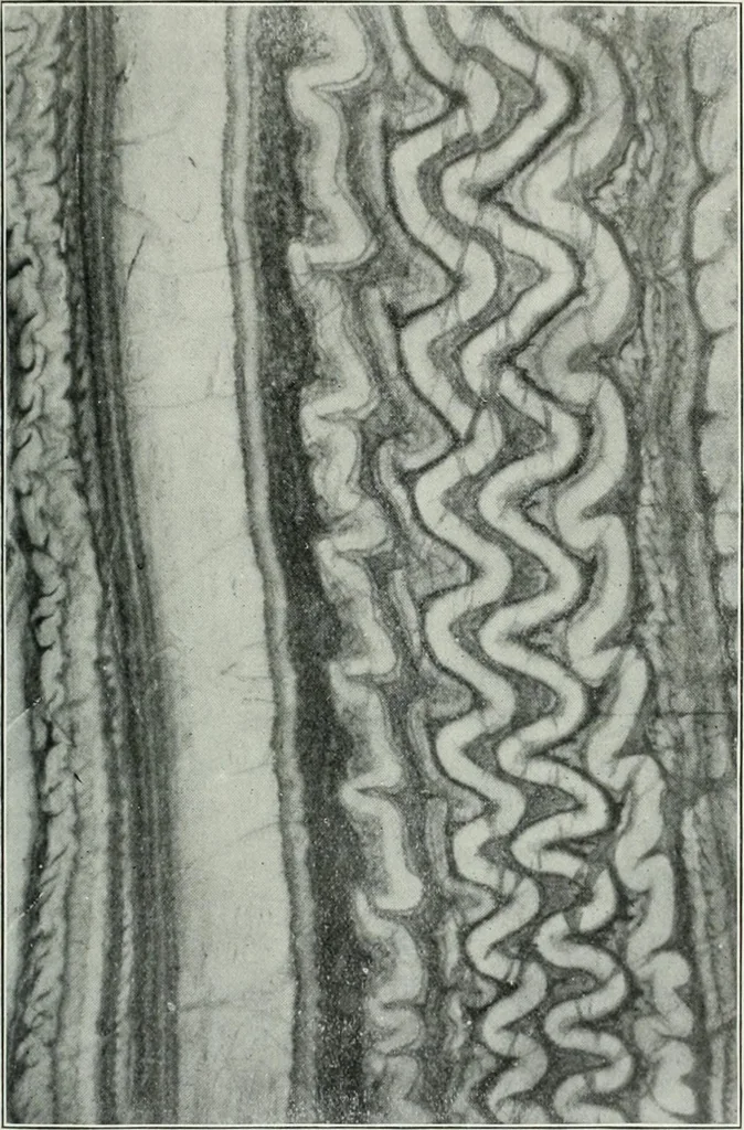 An illustration from Report on the building and ornamental stones of Canada, 1912, leaf 294