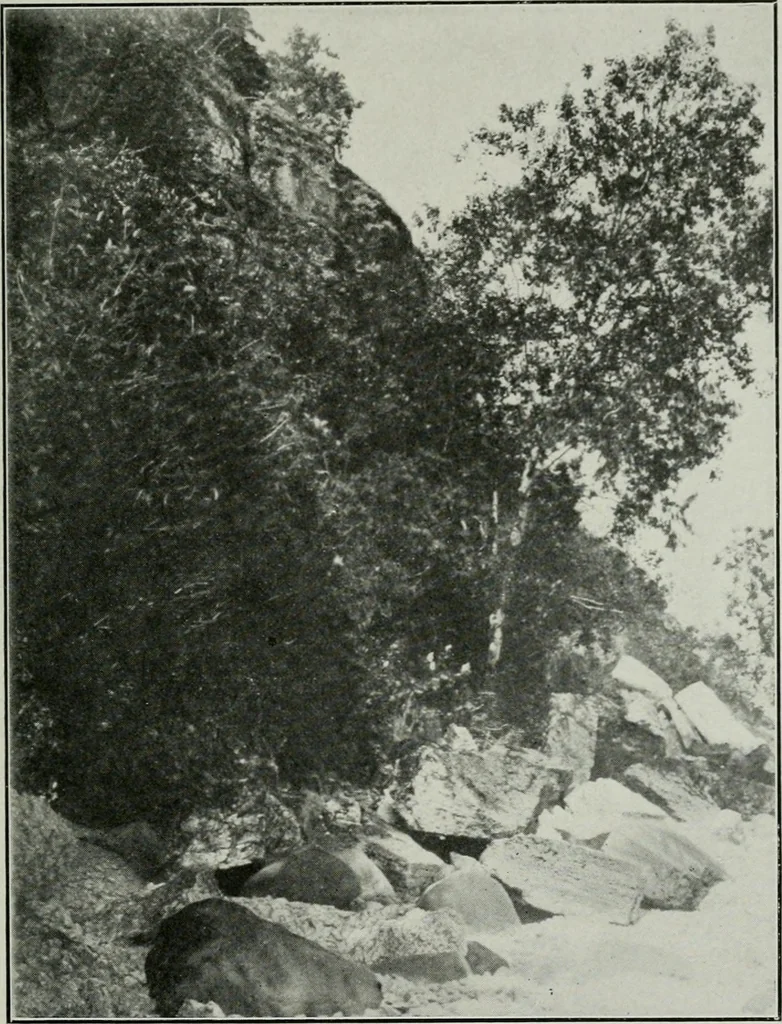 An illustration from Report on the building and ornamental stones of Canada, 1912, leaf 210
