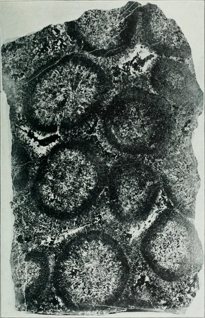 An illustration from Report on the building and ornamental stones of Canada, 1912, leaf 197