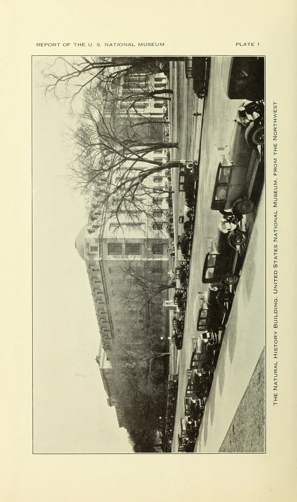 An illustration from Report on the progress and condition of the United States National Museum, 1907, leaf 6