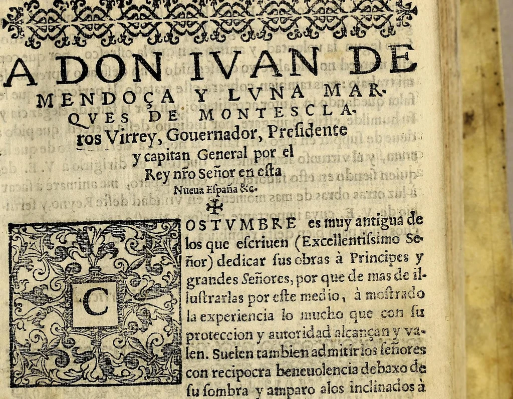 An illustration from Reportorio: de los tiempos, y historia natural desta Nueua Espana., 1606, leaf 19