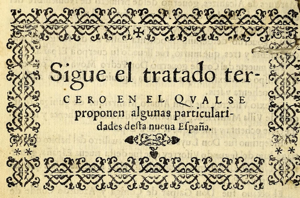 An illustration from Reportorio: de los tiempos, y historia natural desta Nueua Espana., 1606, leaf 258