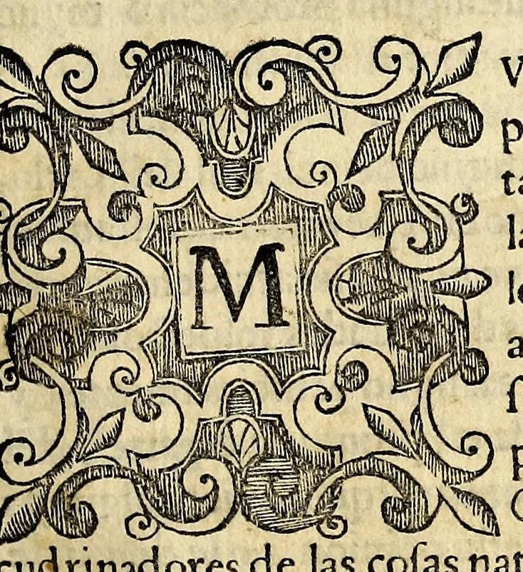 An illustration from Reportorio: de los tiempos, y historia natural desta Nueua Espana., 1606, leaf 259