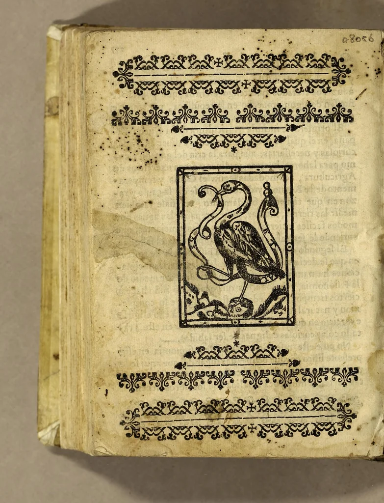 An illustration from Reportorio: de los tiempos, y historia natural desta Nueua Espana., 1606, leaf 412