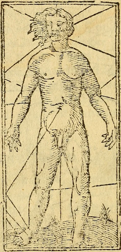 An illustration from Reportorio dos tempos, muy to curioso: : acrecentado & emendado de nouo.., 1590, leaf 119