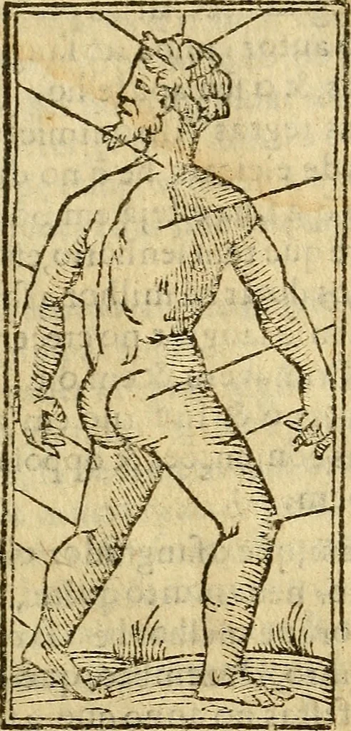 An illustration from Reportorio dos tempos, muy to curioso: : acrecentado & emendado de nouo.., 1590, leaf 120