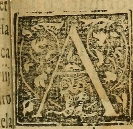 An illustration from Reportorio dos tempos, muy to curioso: : acrecentado & emendado de nouo.., 1590, leaf 16