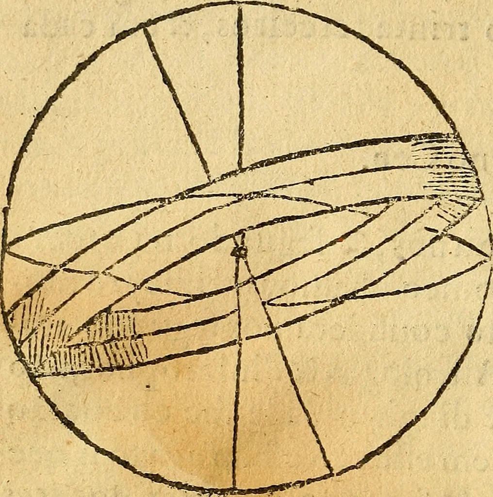 An illustration from Reportorio dos tempos, muy to curioso: : acrecentado & emendado de nouo.., 1590, leaf 45