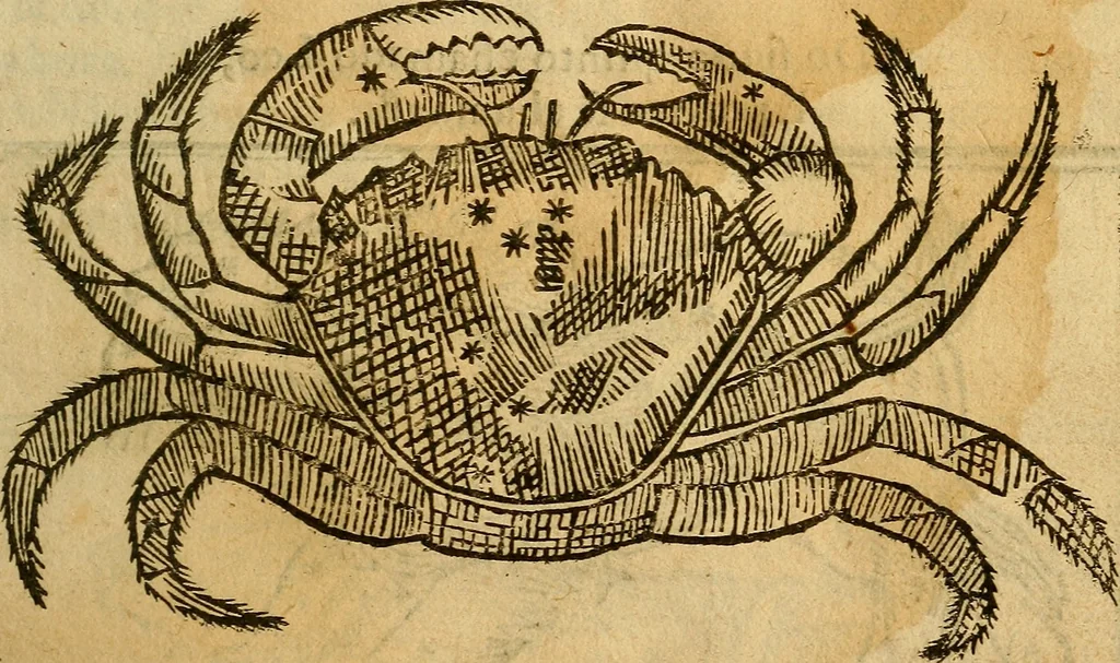 An illustration from Reportorio dos tempos, muy to curioso: : acrecentado & emendado de nouo.., 1590, leaf 50