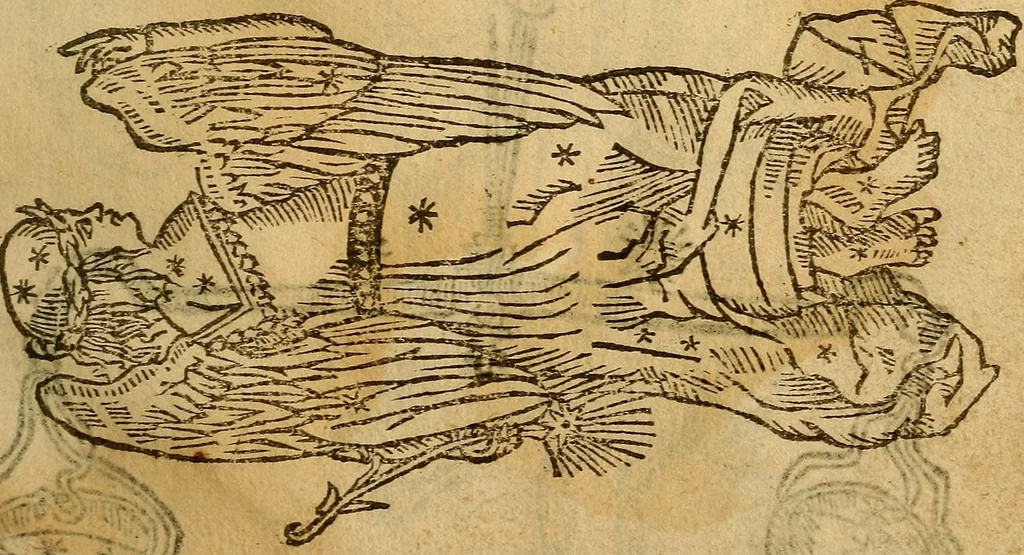 An illustration from Reportorio dos tempos, muy to curioso: : acrecentado & emendado de nouo.., 1590, leaf 52