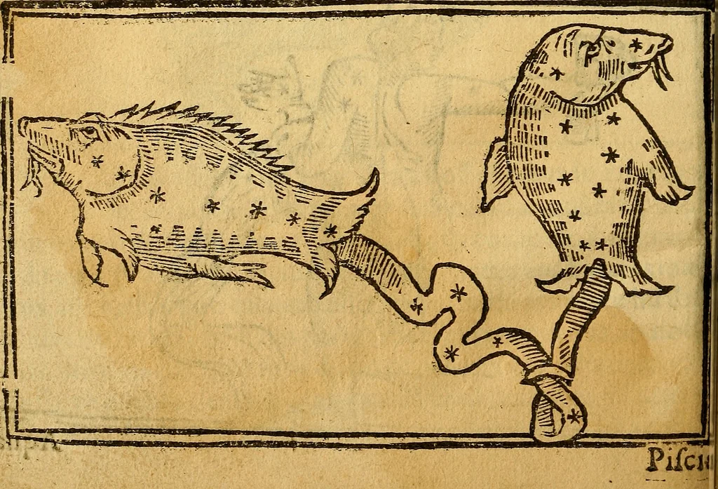 An illustration from Reportorio dos tempos, muy to curioso: : acrecentado & emendado de nouo.., 1590, leaf 59