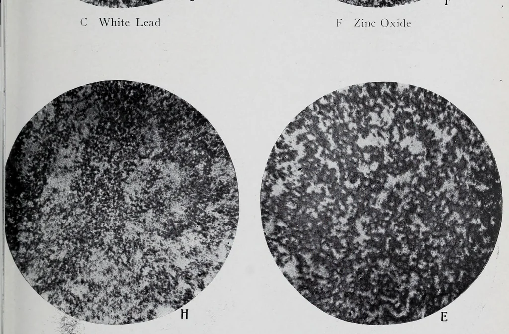 An illustration from Reports, 1908, leaf 121
