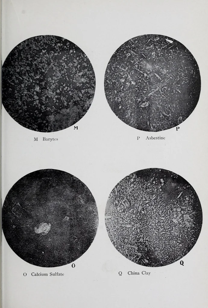 An illustration from Reports, 1908, leaf 123