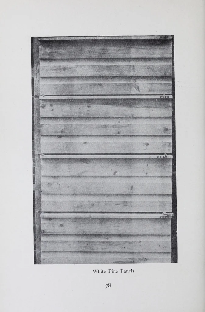 An illustration from Reports, 1908, leaf 162