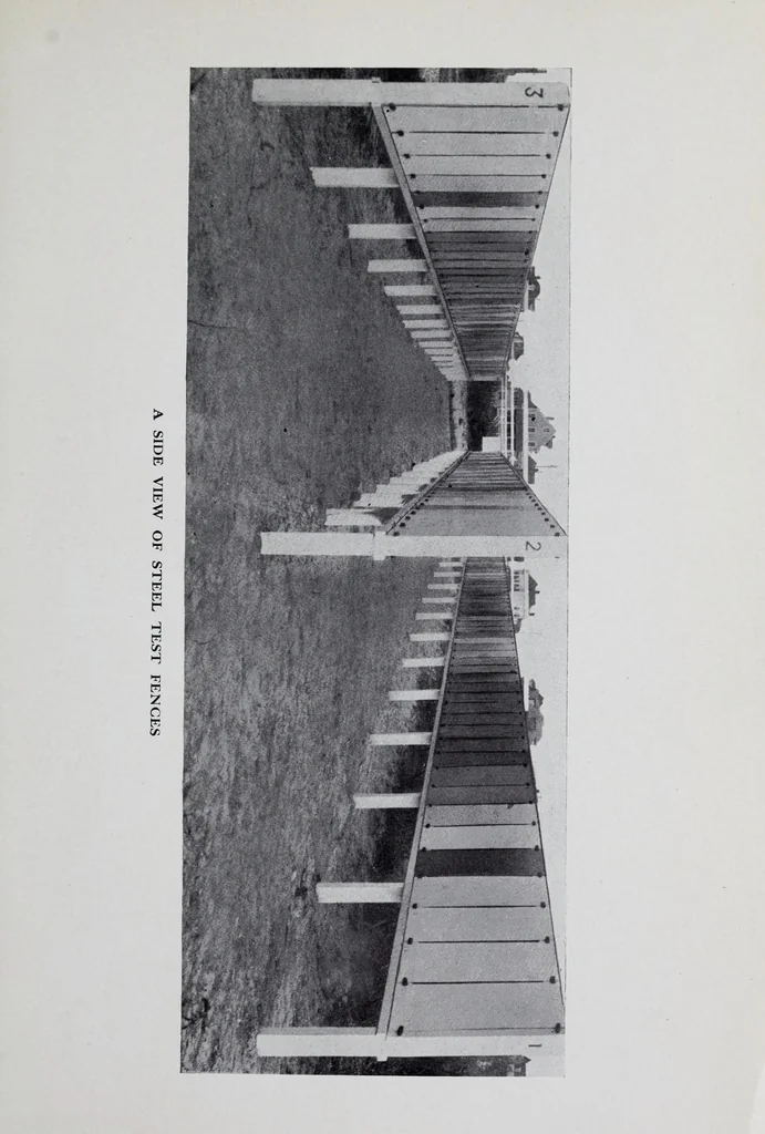 An illustration from Reports, 1908, leaf 189