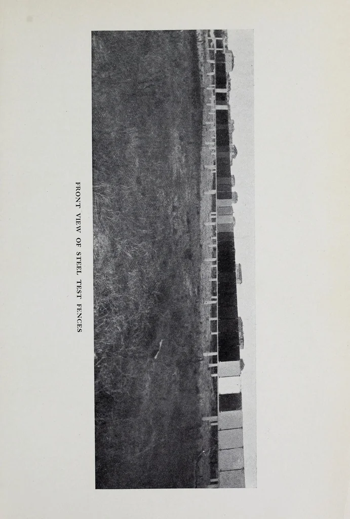 An illustration from Reports, 1908, leaf 195