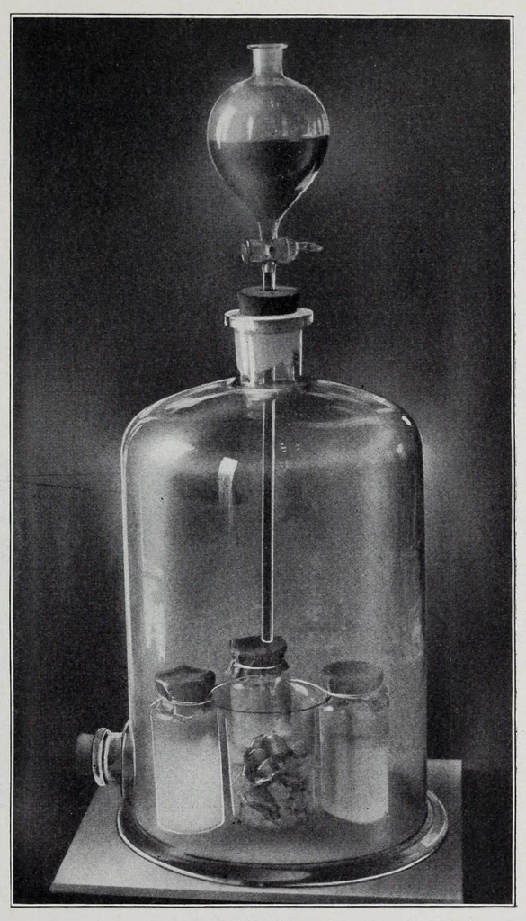 An illustration from Reports, 1908, leaf 217