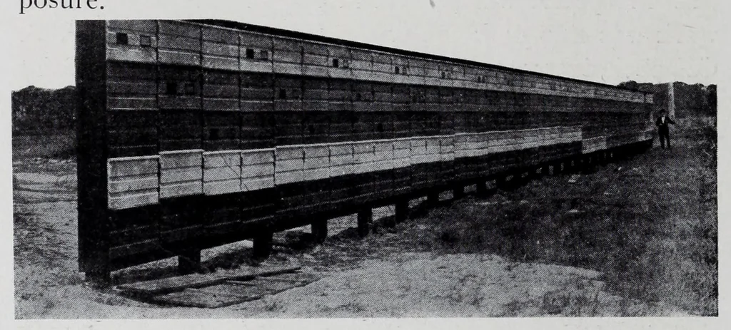 An illustration from Reports, 1908, leaf 40