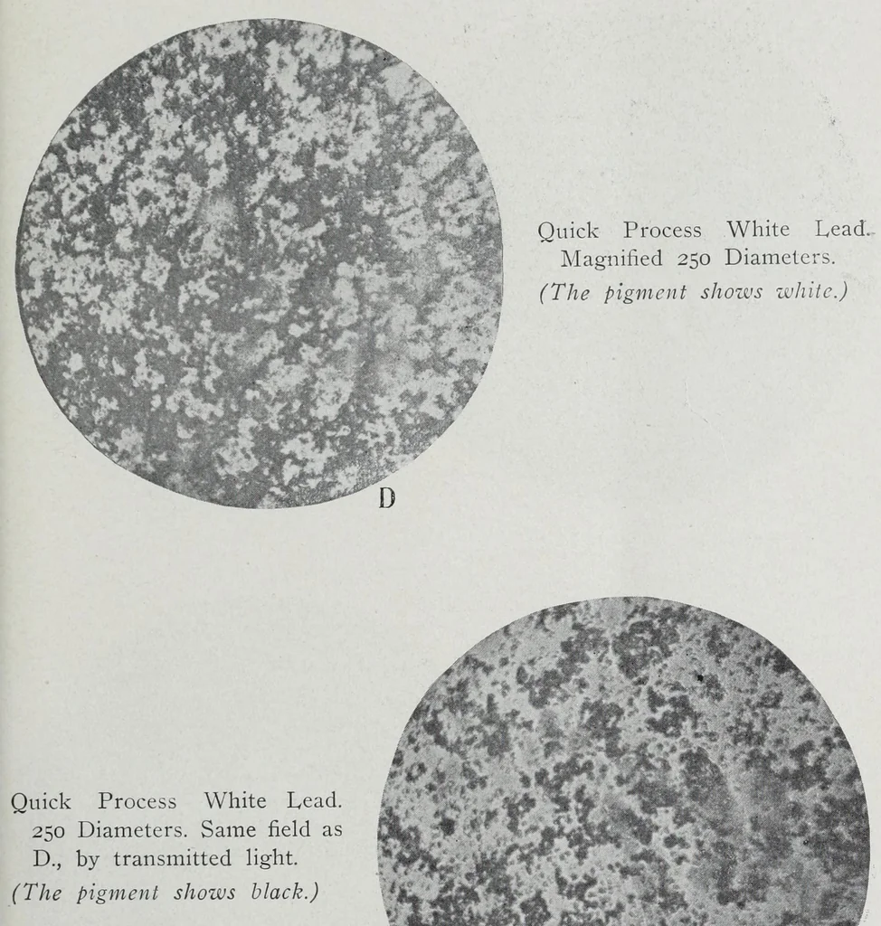 An illustration from Reports, 1908, leaf 255