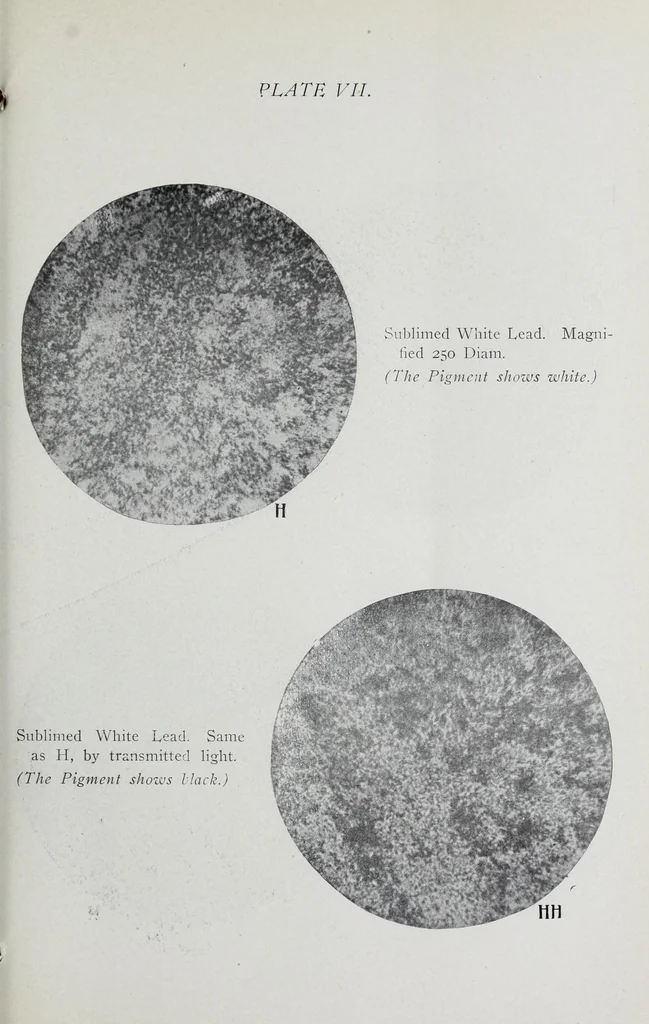 An illustration from Reports, 1908, leaf 259