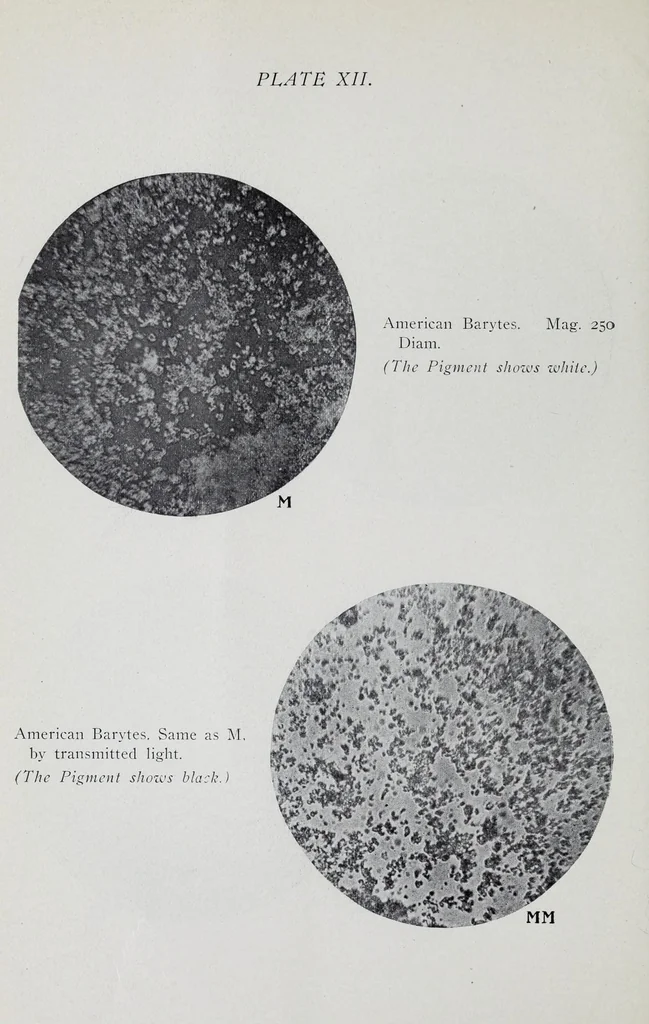 An illustration from Reports, 1908, leaf 264