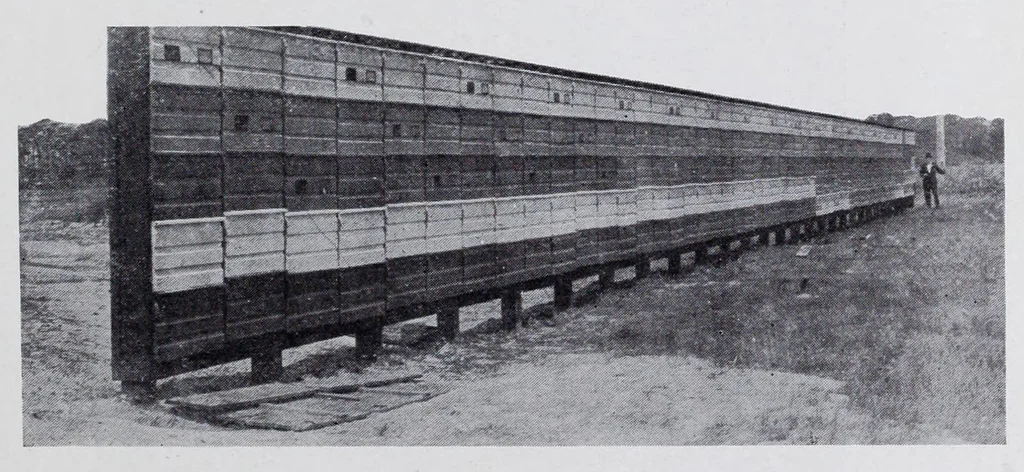 An illustration from Reports, 1908, leaf 321