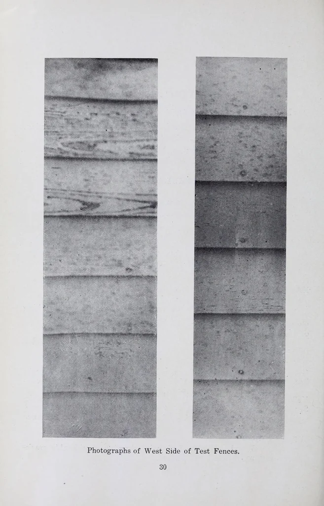 An illustration from Reports, 1908, leaf 430