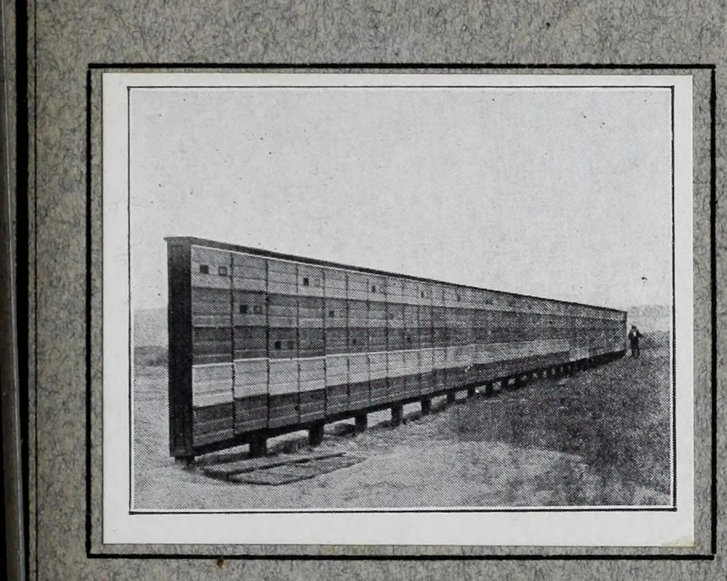 An illustration from Reports, 1908, leaf 509