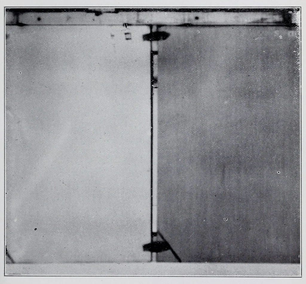 An illustration from Reports, 1908, leaf 529