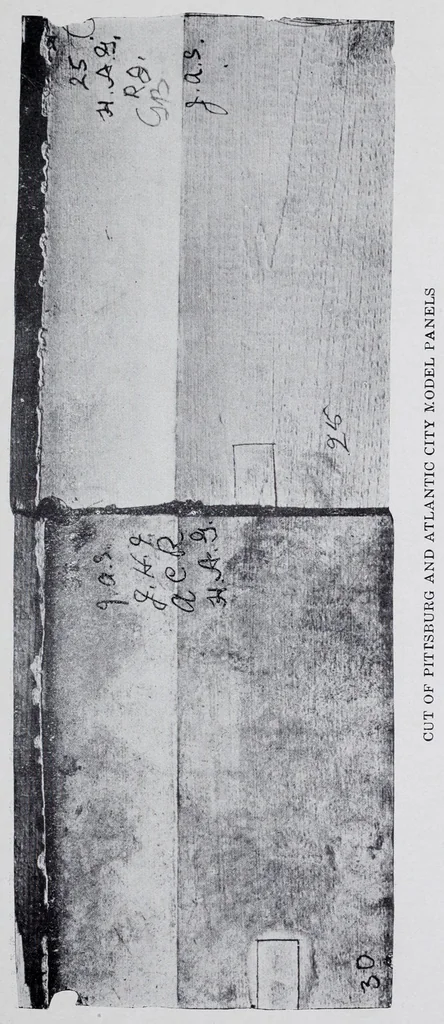 An illustration from Reports, 1908, leaf 65