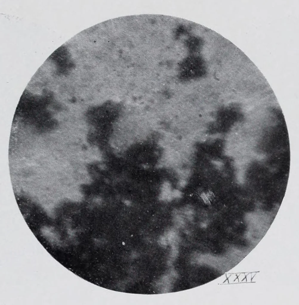 An illustration from Reports, 1908, leaf 655