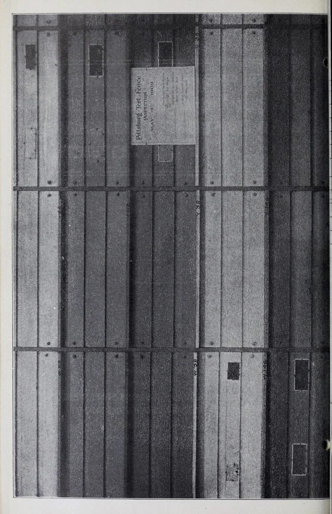 An illustration from Reports, 1908, leaf 362