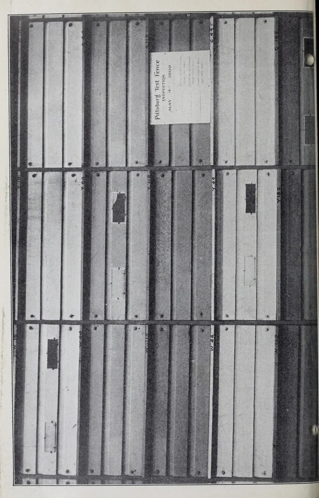 An illustration from Reports, 1908, leaf 370