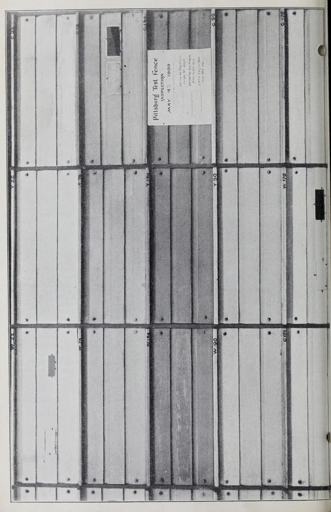An illustration from Reports, 1908, leaf 382