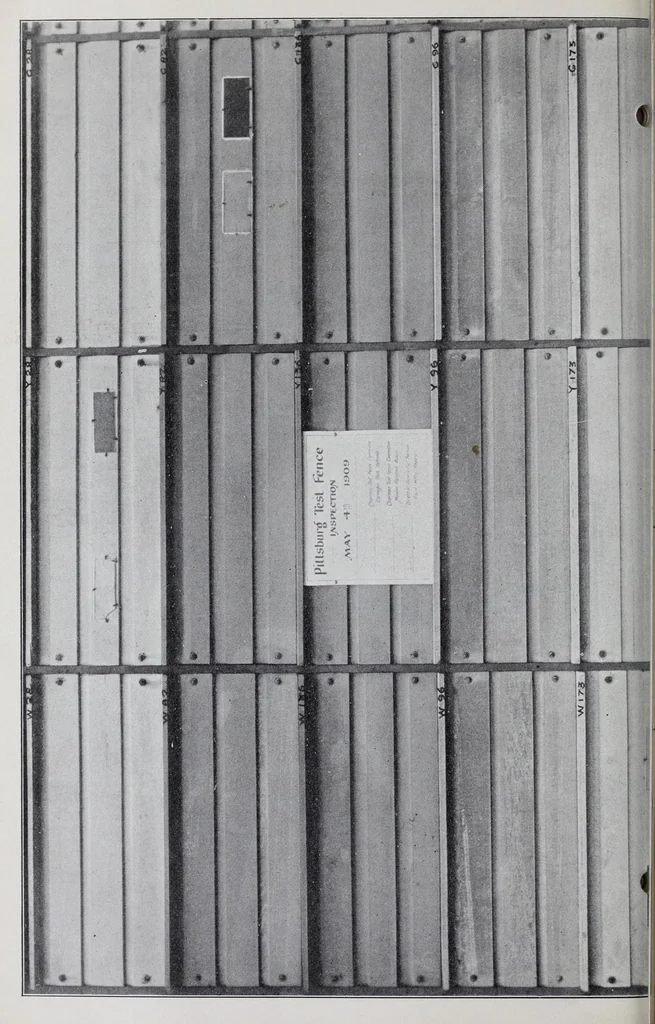 An illustration from Reports, 1908, leaf 388