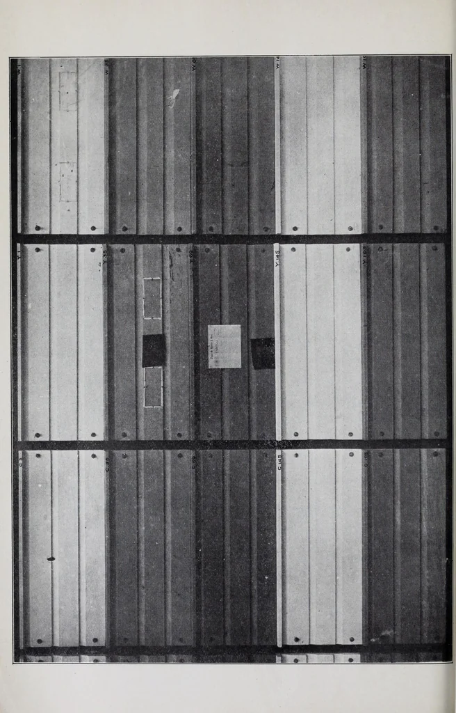 An illustration from Reports, 1908, leaf 46