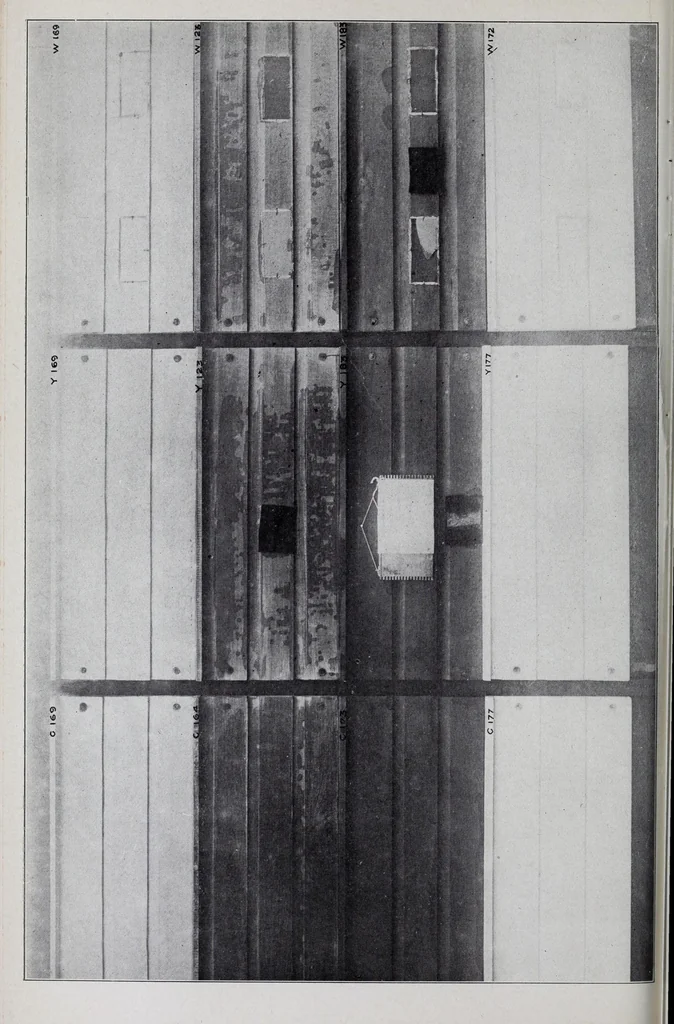An illustration from Reports, 1908, leaf 80