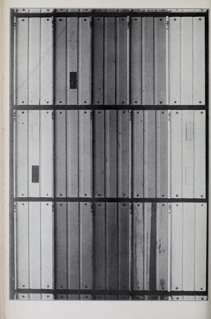 An illustration from Reports, 1908, leaf 84