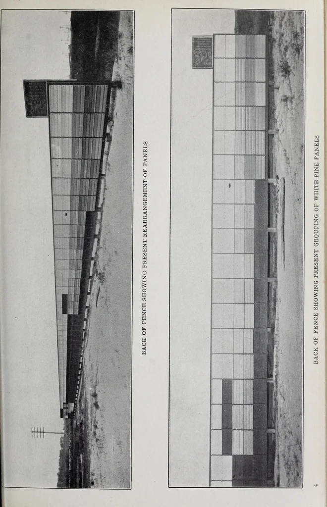 An illustration from Reports, 1908, leaf 91