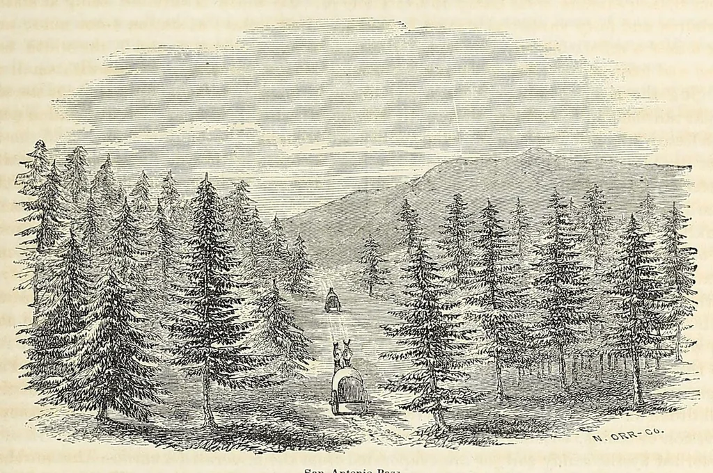 An illustration from Reports of explorations and surveys, to ascertain the most practicable and economical route for a railroad from the Mississippi River to the Pacific Ocean, 1855, leaf 267