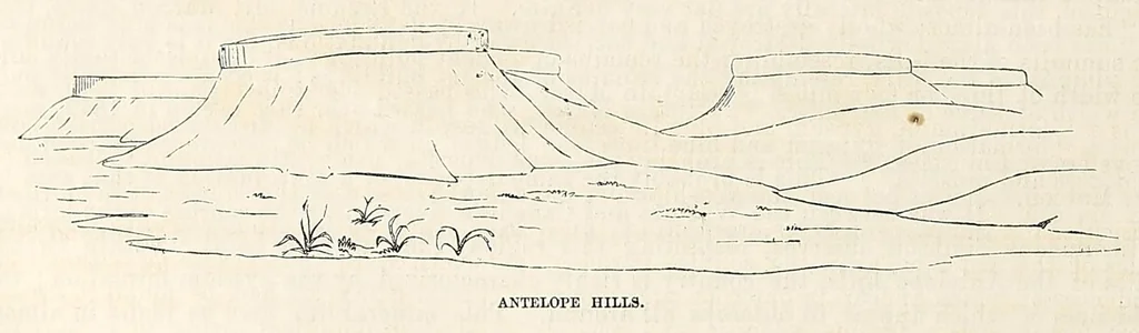 An illustration from Reports of explorations and surveys, to ascertain the most practicable and economical route for a railroad from the Mississippi River to the Pacific Ocean, 1855, leaf 536