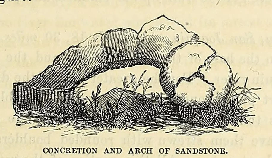 An illustration from Reports of explorations and surveys, to ascertain the most practicable and economical route for a railroad from the Mississippi River to the Pacific Ocean, 1855, leaf 151