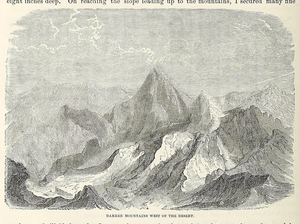 An illustration from Reports of explorations and surveys, to ascertain the most practicable and economical route for a railroad from the Mississippi River to the Pacific Ocean, 1855, leaf 290